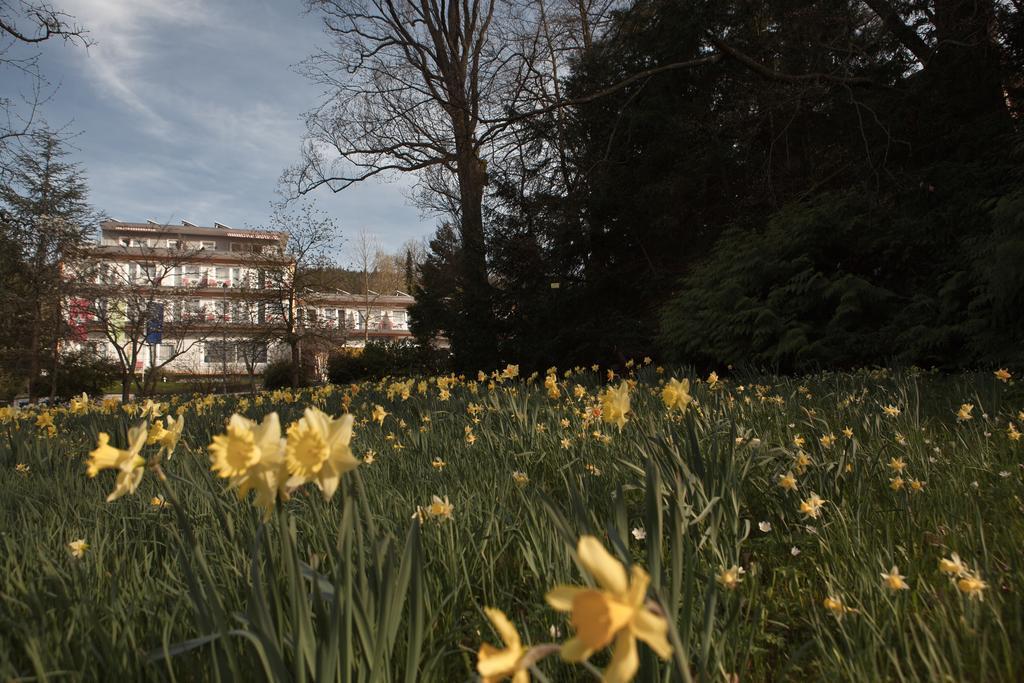 Balance Revital-Hotel Badenweiler Exterior foto